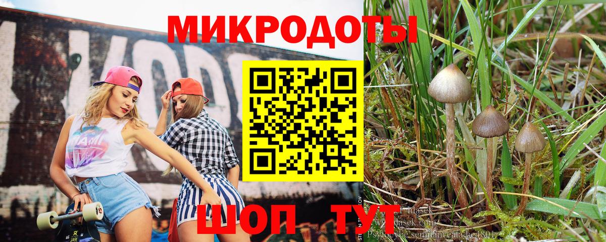 Галлюциногенные грибы мицелий Нижнекамск