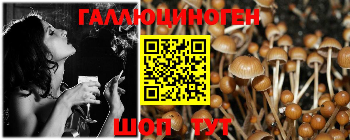 Галлюциногенные грибы мицелий  Вход с VPN  Нижнекамск 
